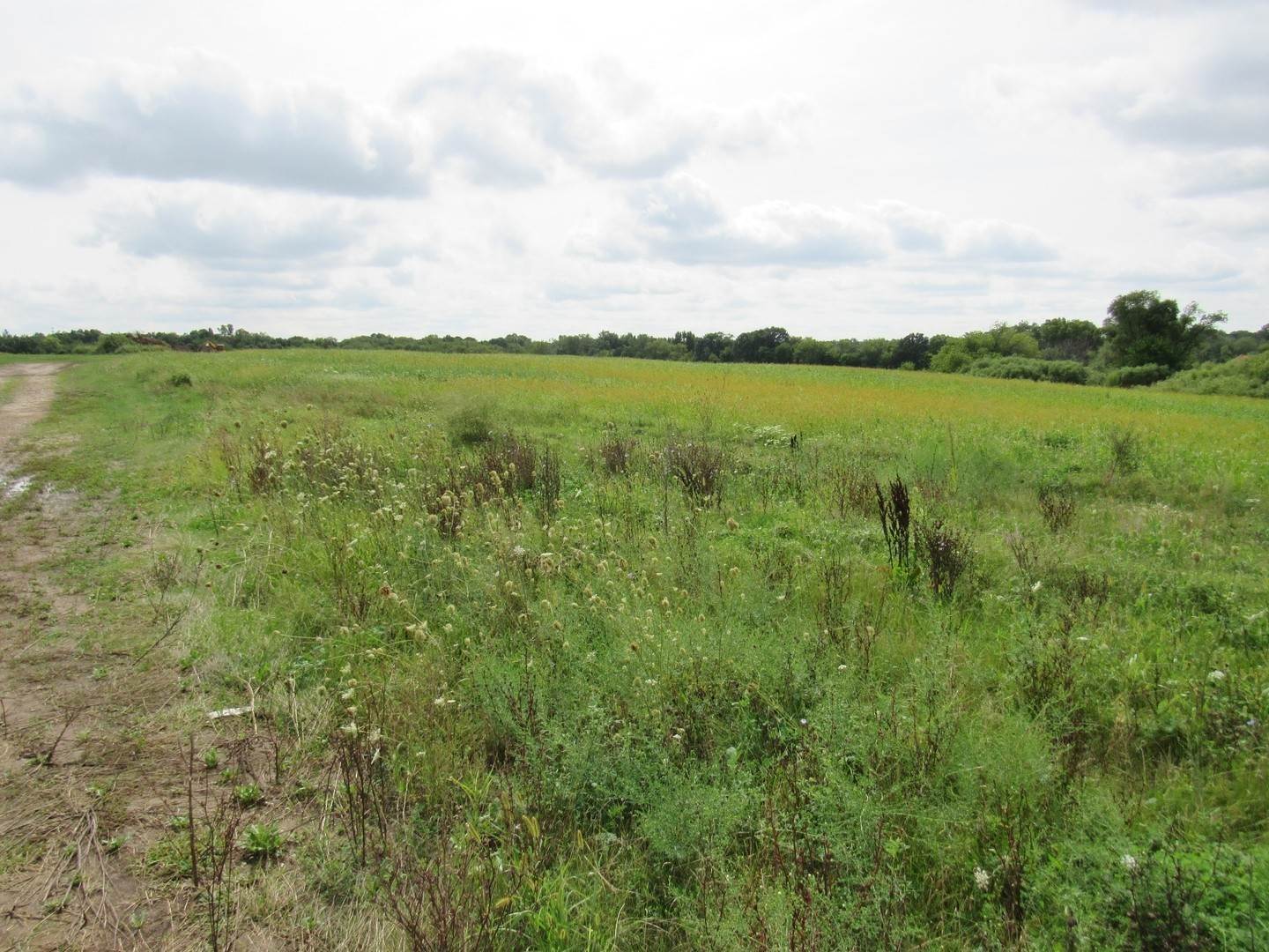 Land for Sale at Volo, IL 60020