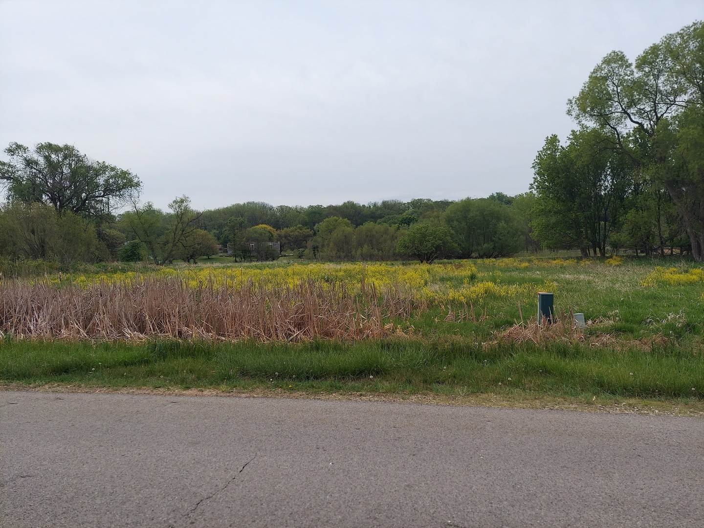 Land for Sale at Dundee, IL 60118