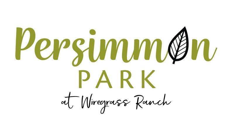 Persimmon Park - Garden Series здание в 28778 Orange Berry Drive, Wesley Chapel, FL 33543