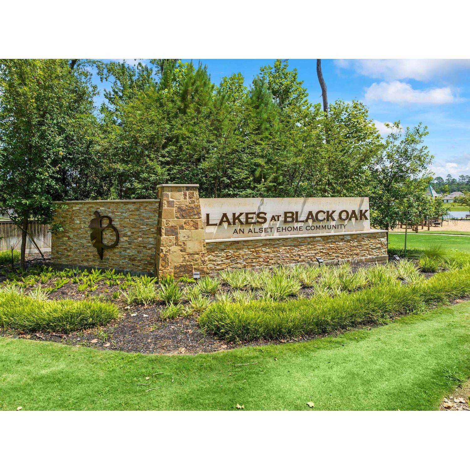 Lakes at Black Oak prédio em 110 Elm Tree Circle, Magnolia, TX 77354