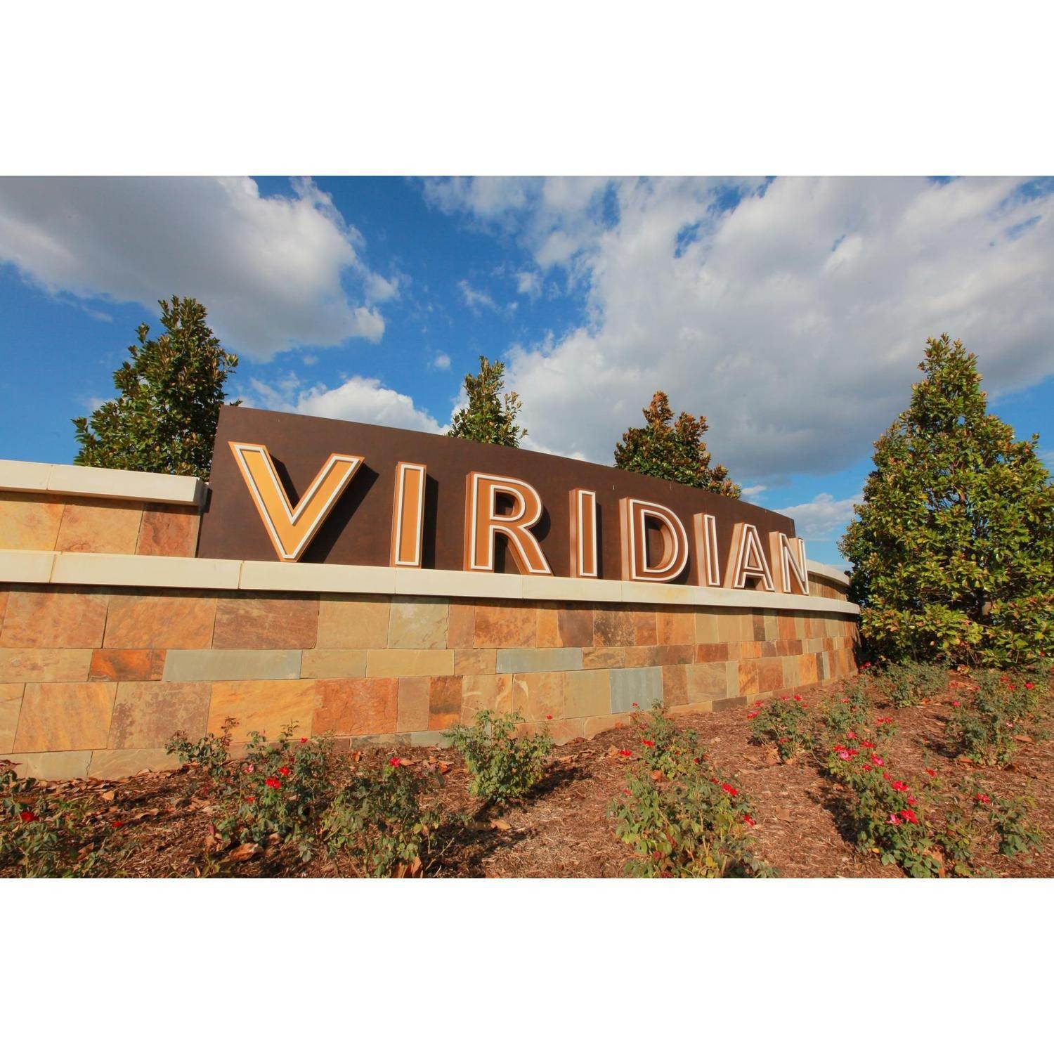 Viridian - 65'建於 1344 Viridian Park Lane, Arlington, TX 76005