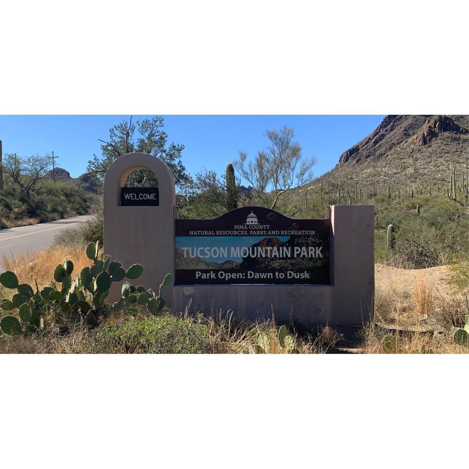 7. Star Valley Destiny Collection Gebäude bei 7079 W Ferntree Lane, Tucson, AZ 85757