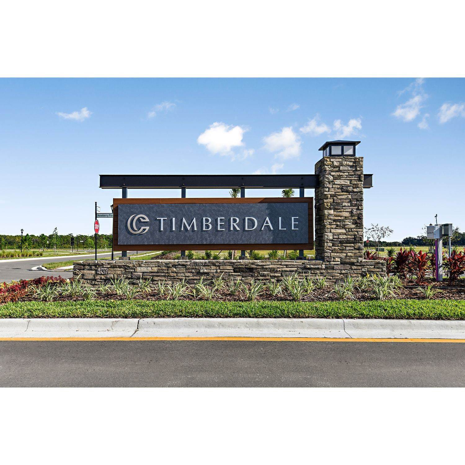 Timberdale at Chapel Crossings edificio a 5873 Timberdale Ave, Wesley Chapel, FL 33545