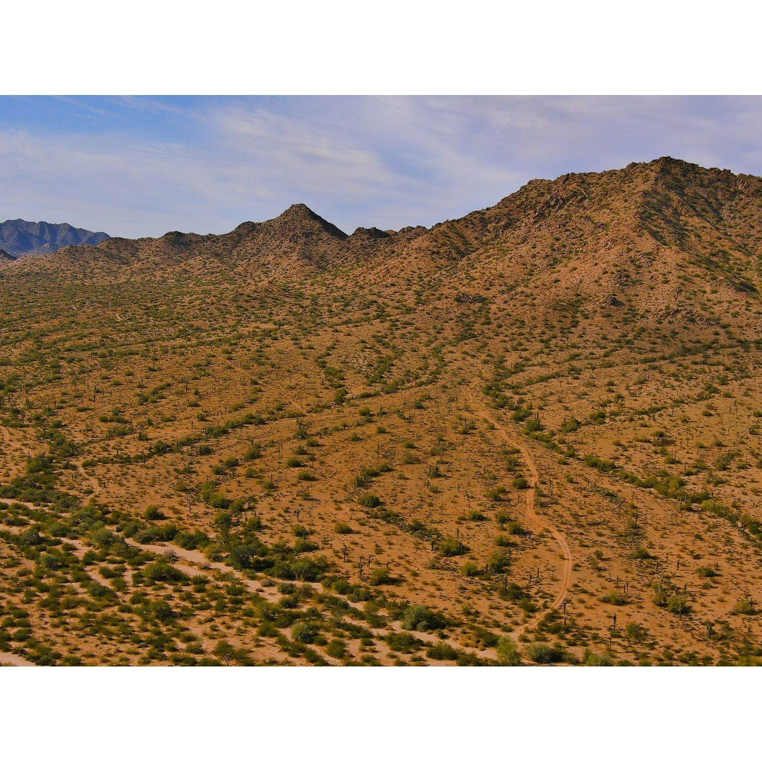 4. San Tan Groves - Reserve Series建於 4431 W Hunter Trail, San Tan Valley, AZ 85142