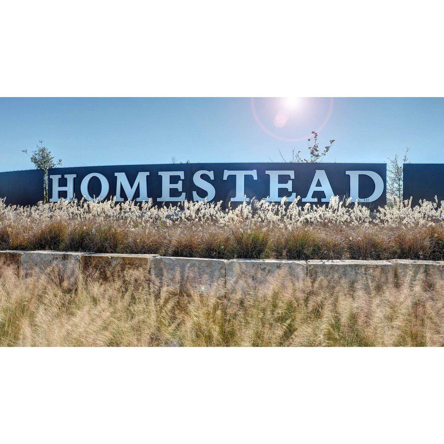 Homestead 65'建于 4932 Childress Lane, Schertz, TX 78108