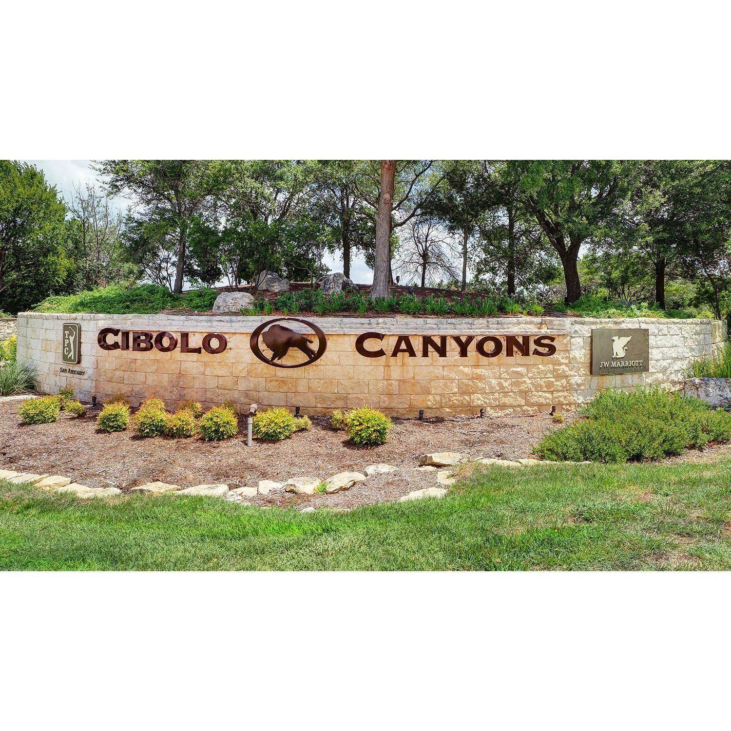 6. Cibolo Canyons 60' edificio en 24206 Downhill Lie, San Antonio, TX 78261