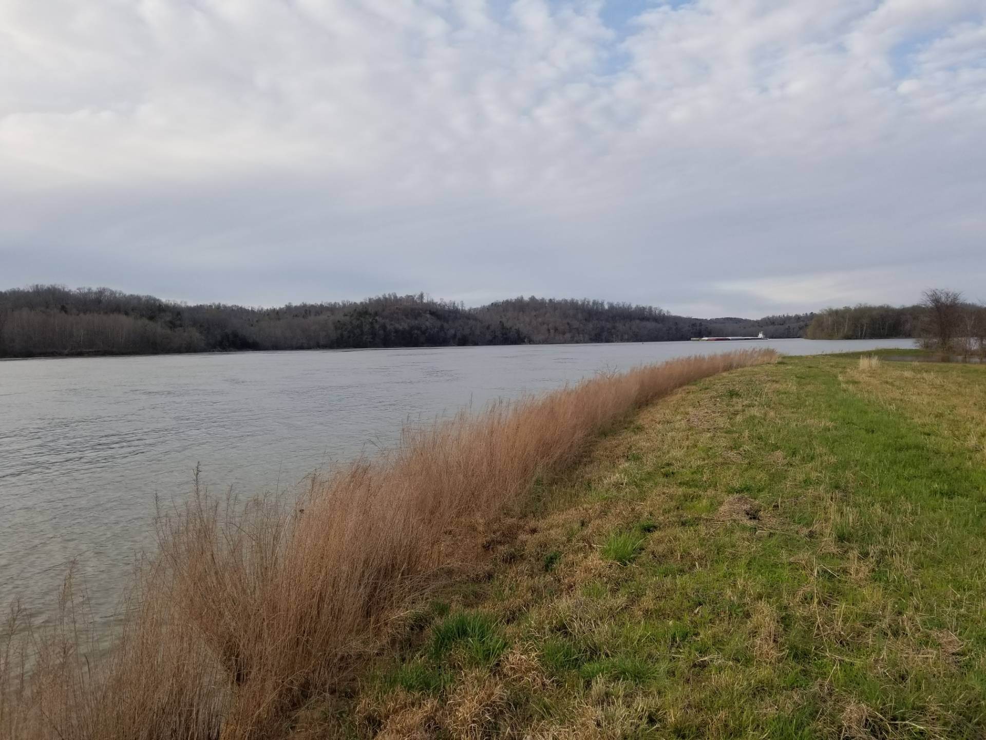 4. Land for Sale at Clifton, TN 38425