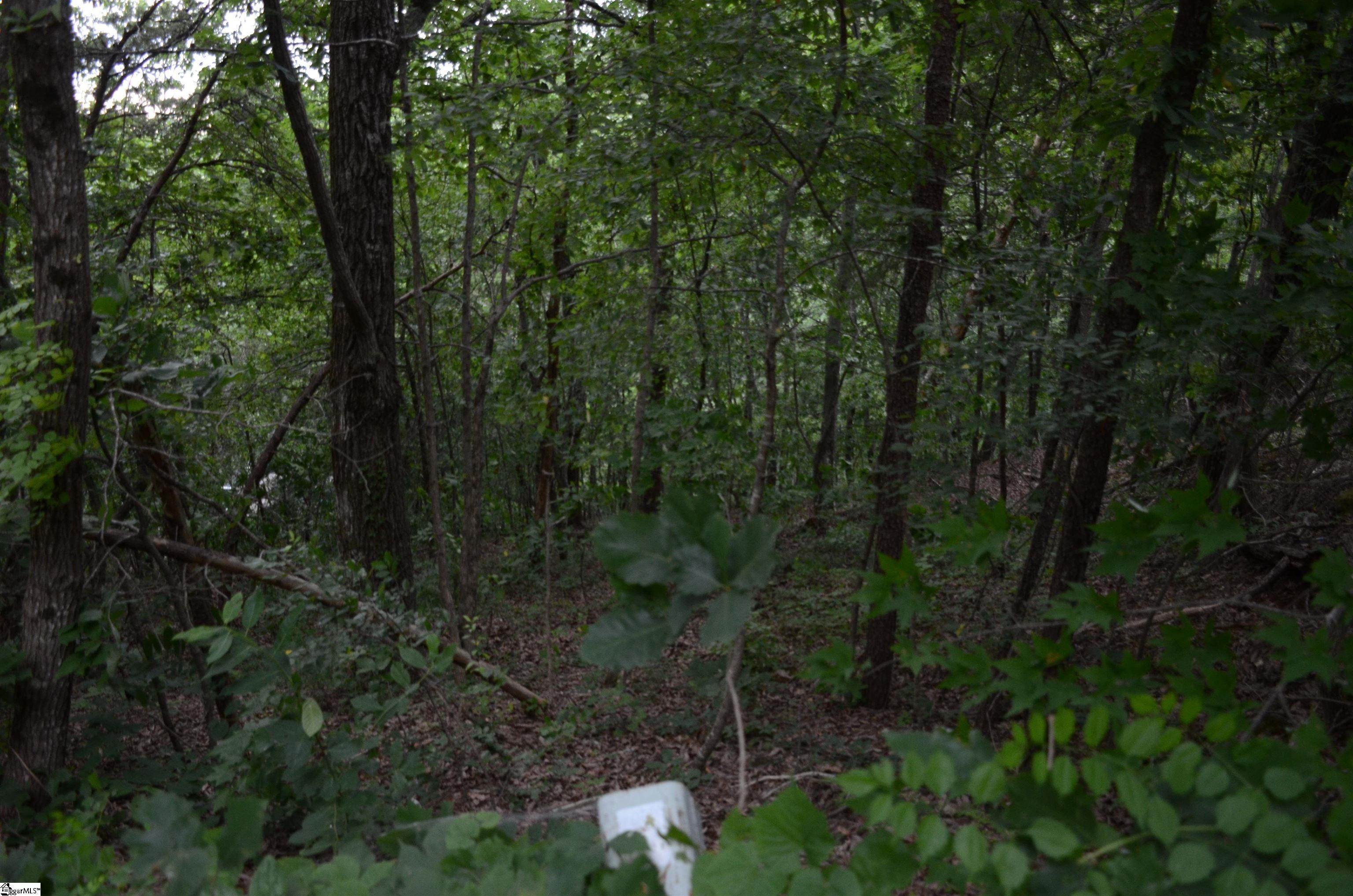 4. Land for Sale at Greenville, SC 29609