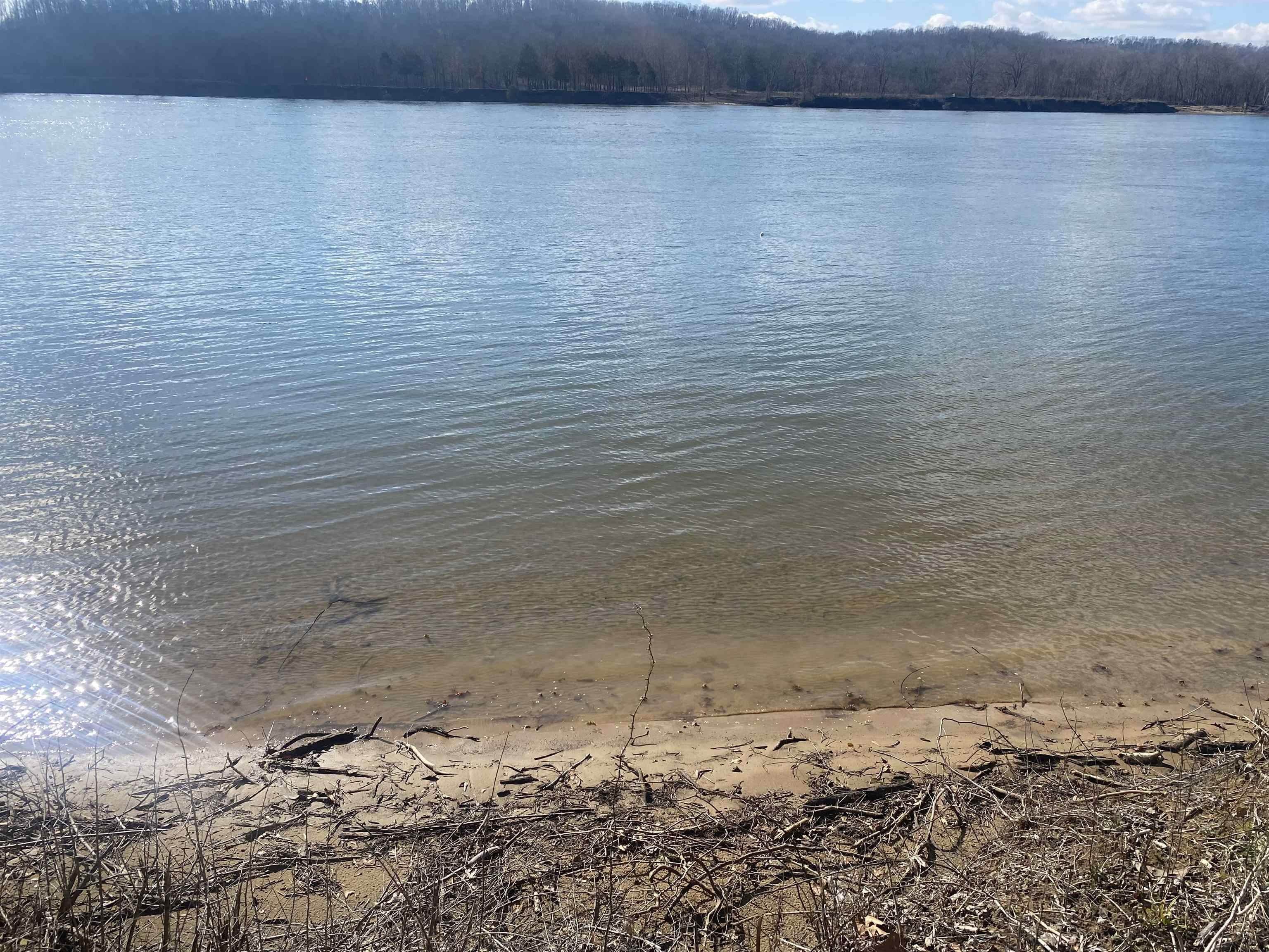 6. Land for Sale at Clifton, TN 38425