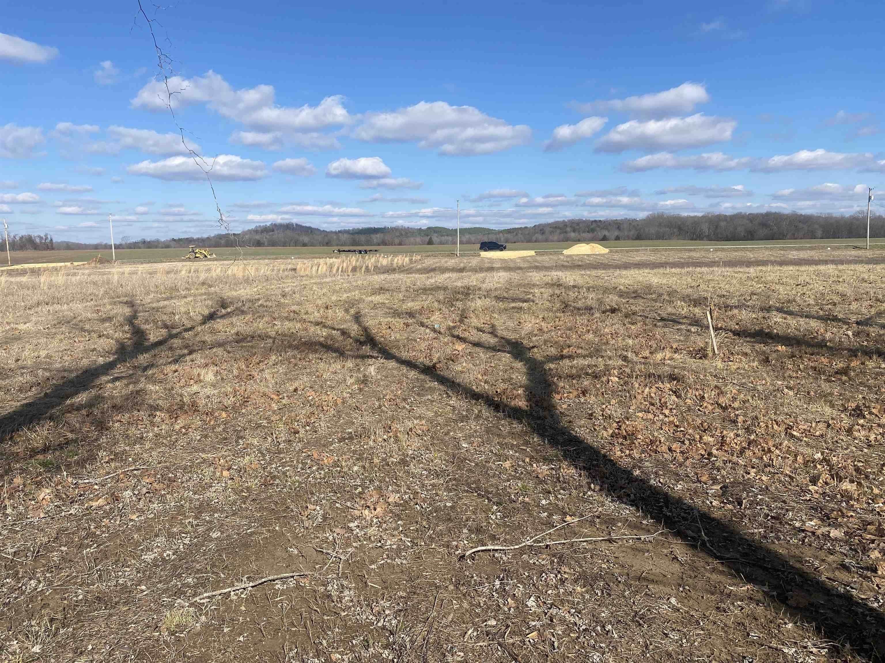 3. Land for Sale at Clifton, TN 38425