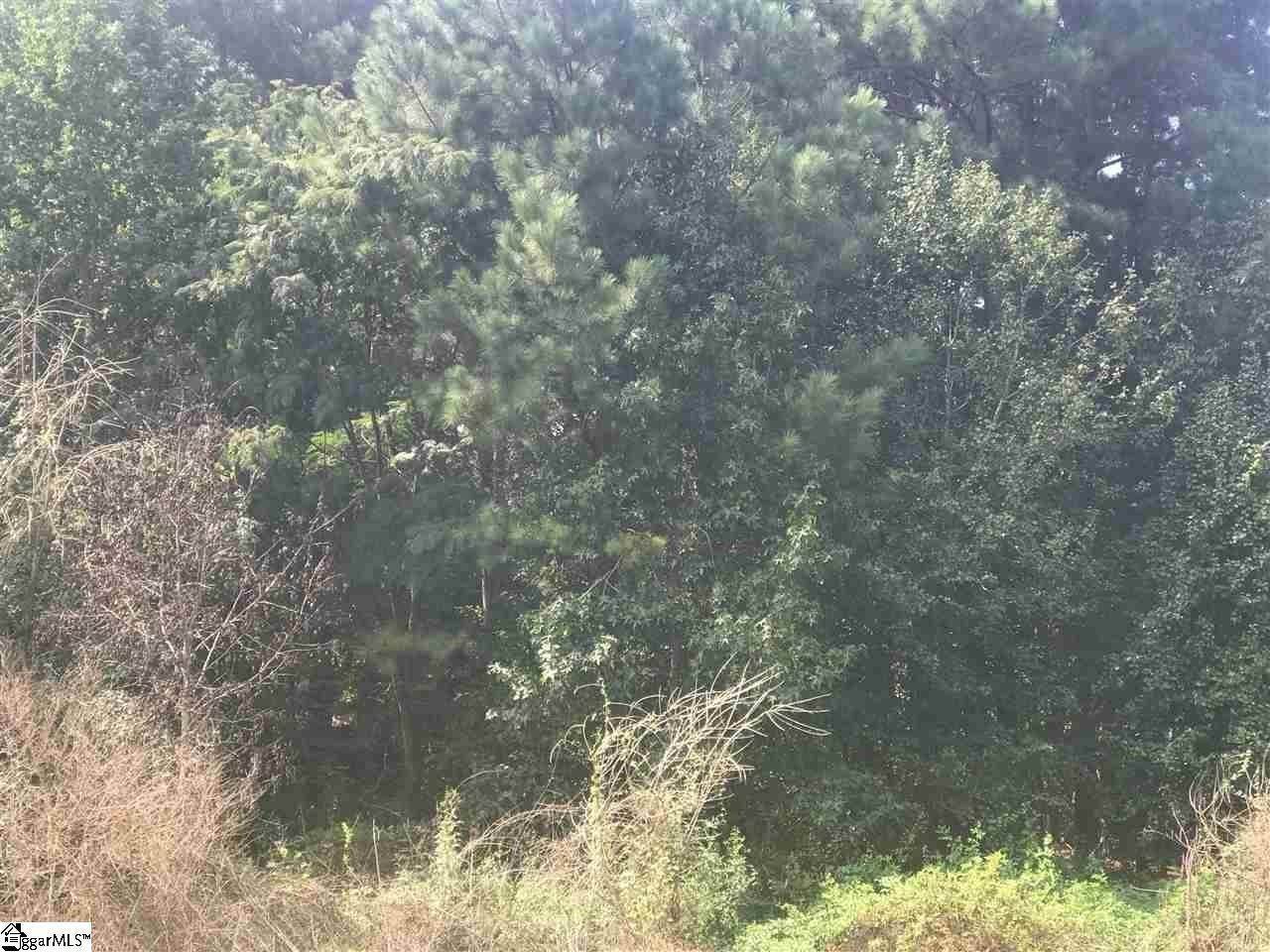 1. Land for Sale at Greenville, SC 29607