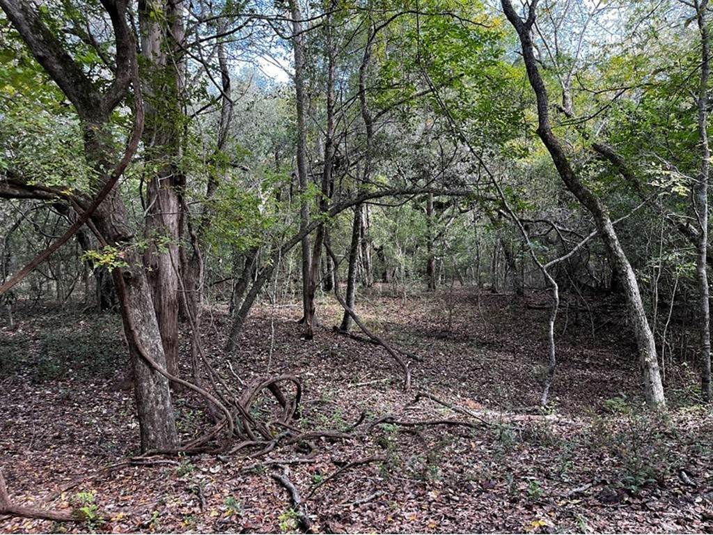 8. Farm / Agriculture for Sale at Fayetteville, TX 78940