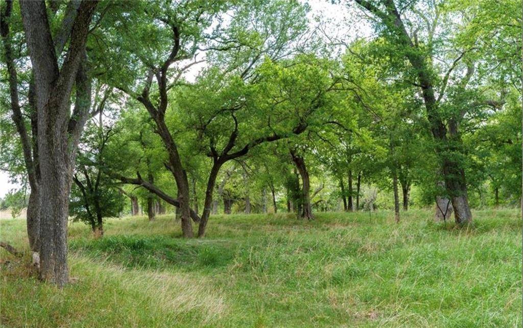13. Land for Sale at Clifton, TX 76634