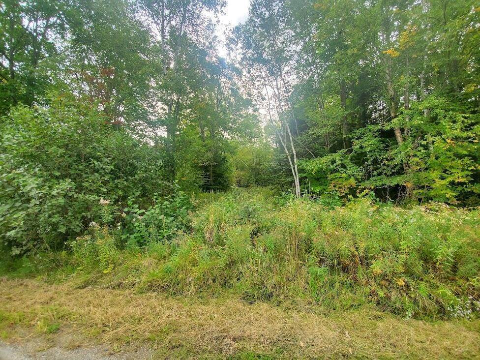1. Land for Sale at Monroe, ME 04951