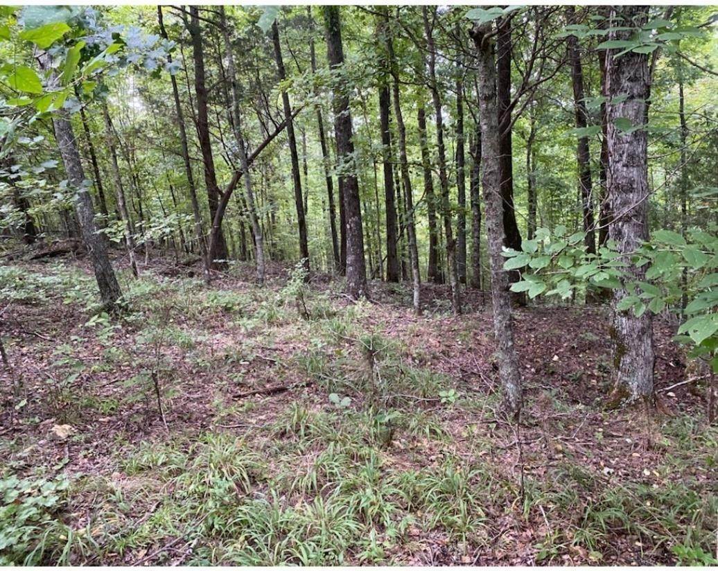 Land for Sale at Clifton, TN 38425