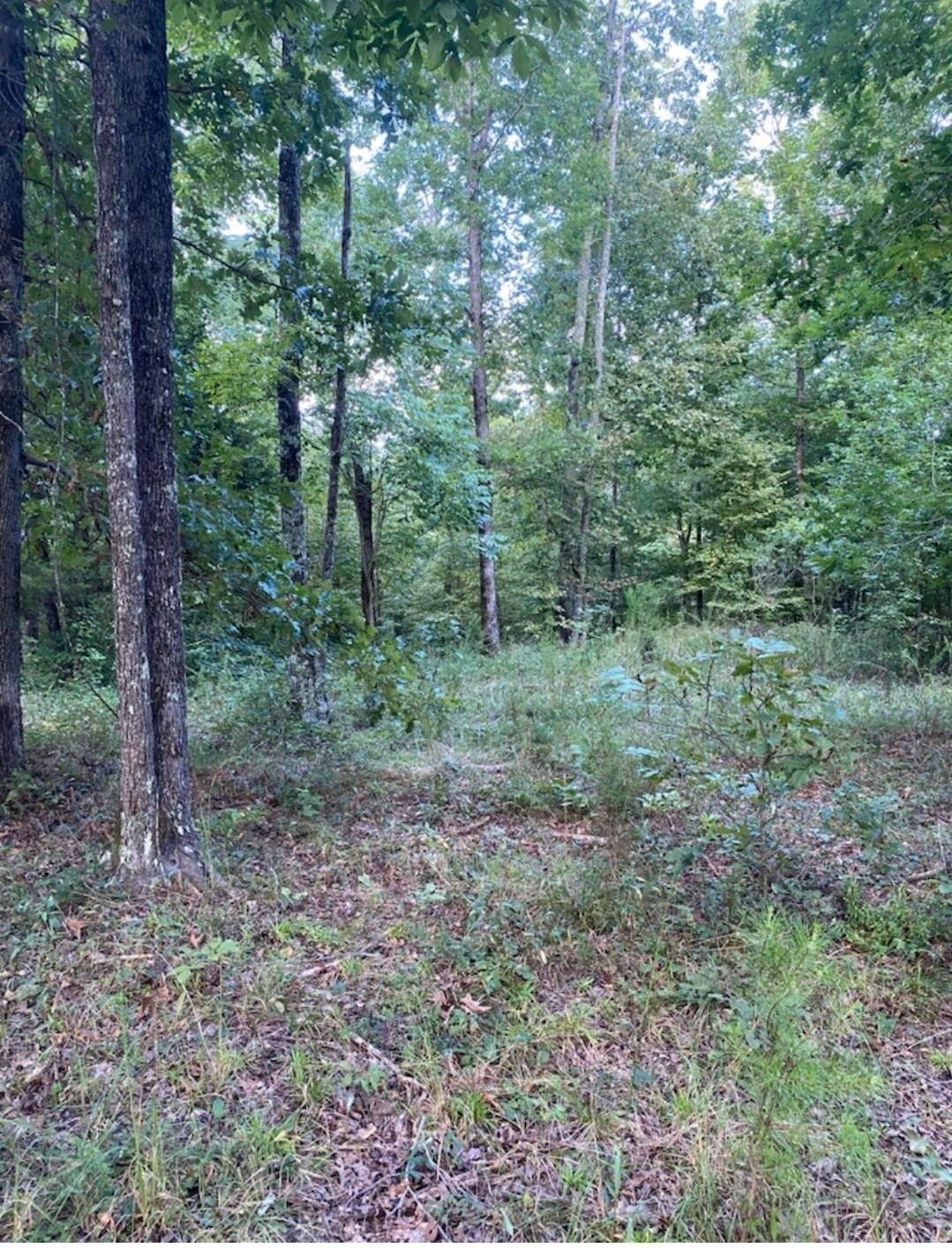 12. Land for Sale at Clifton, TN 38425