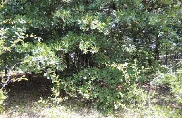 9. Land for Sale at Greenville, TX 75401