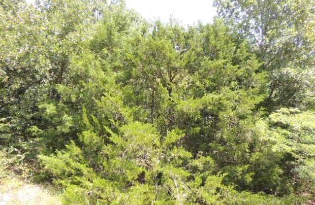 12. Land for Sale at Greenville, TX 75401